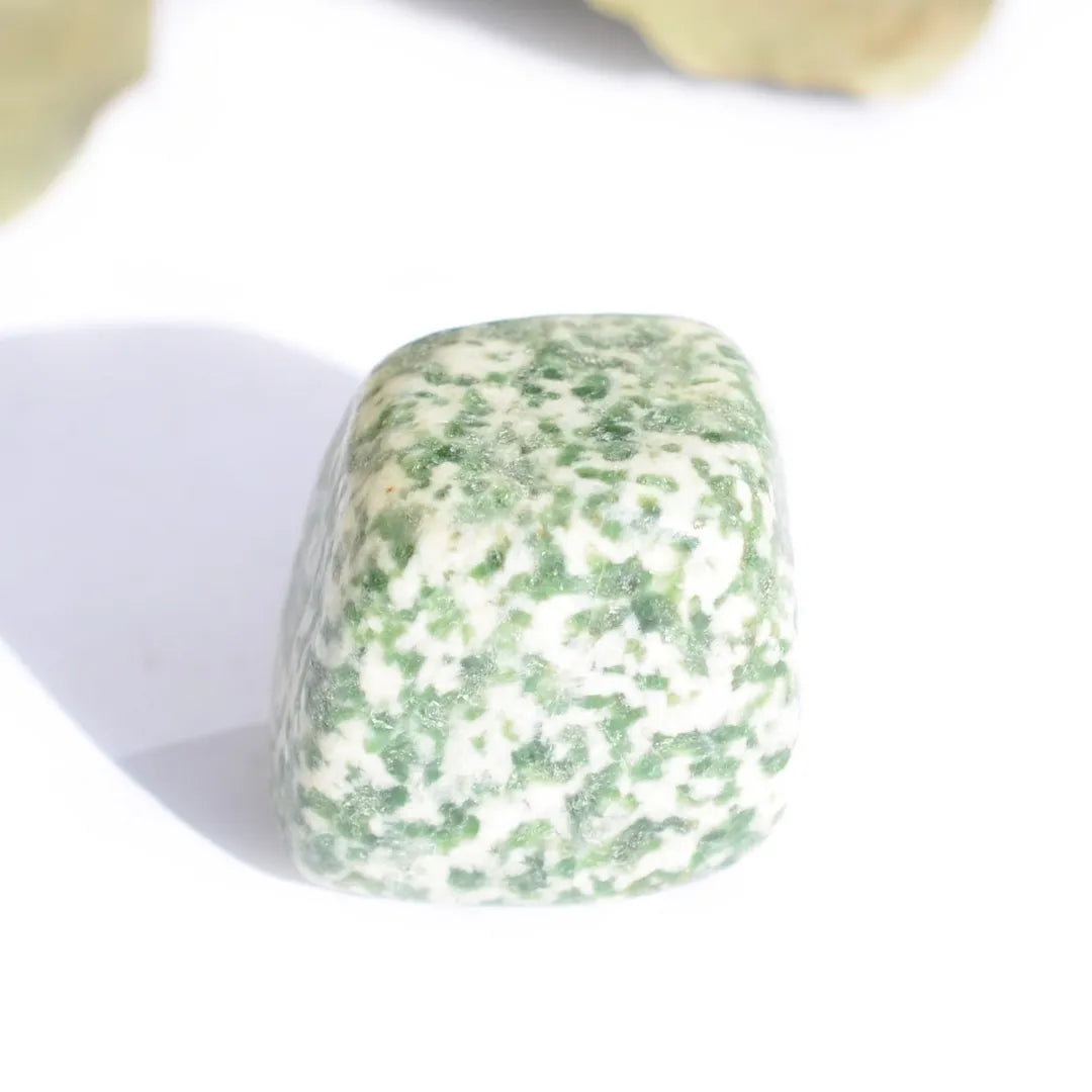 Lot pierres roulées Agate Arbre – Équilibre, Vitalité et Protection Énergétique