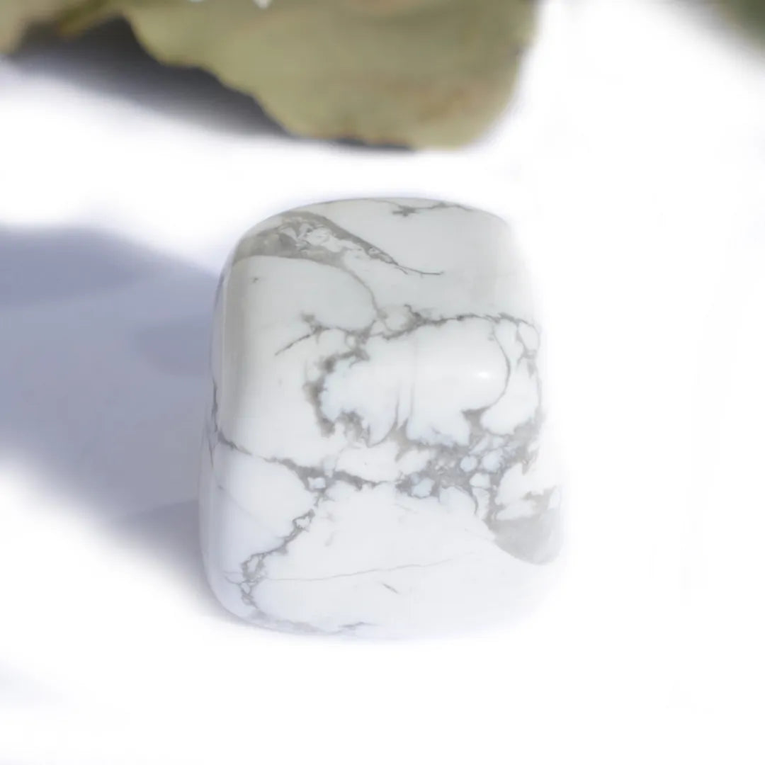 Lot pierres roulées Howlite – Paix Intérieure et Clarté Mentale