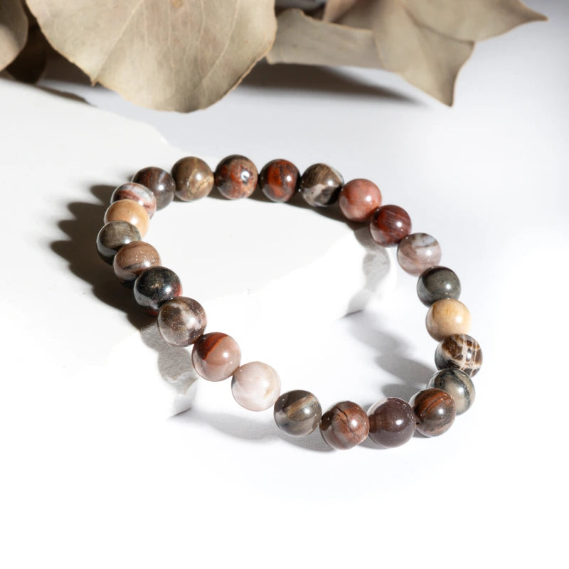 Bracelet Bois fossilisé – Ancrage et Stabilité Émotionnelle
